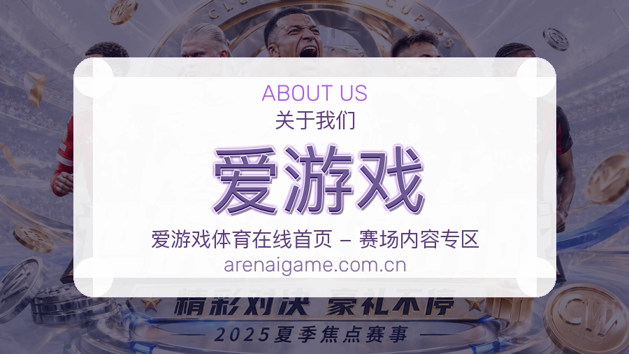 爱游戏体育平台用户支持